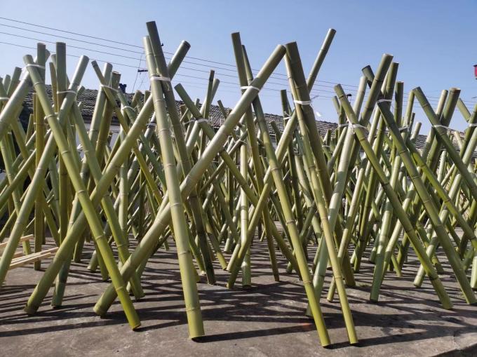 China QC Disposable Cutlery factory production line